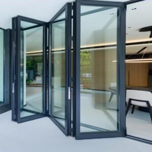 Folding Door